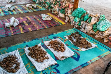 Mısır 'ın Nil Nehri kıyısındaki ünlü Kom Ombo Tapınağı' ndaki Harabelerde Arkeolojinin Yeniden Yapılanma Çalışma Alanı