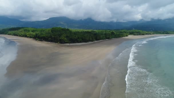 Вид с воздуха Национальный парк Пунта-Увита Красивый пляж тропических лесов Тихоокеанского побережья Коста-Рики форме китового хвоста — стоковое видео