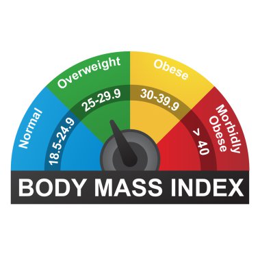 BMI or Body Mass Index Infographic Chart