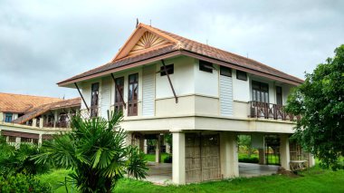 Yerel üniversite Wisdom06