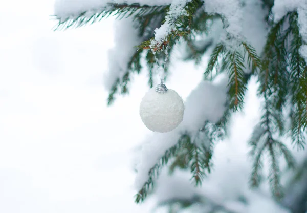 Karácsonyi fehér fényes labdajáték egy zöld fa hóágán. Csillogó karácsonyi játék. A hó a fenyőfa ágain fekszik. Karácsonyi téli koncepció. Másolás helyet szöveg, betűtípus, szavak. Felülnézet — Stock Fotó