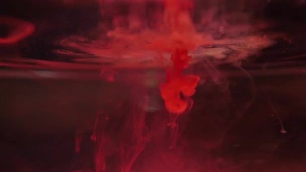 Kleur slplashes van verf in water slow motion — Stockvideo