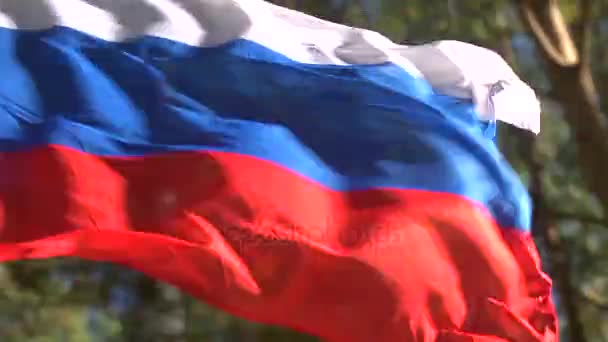 Flagge der Russischen Föderation — Stockvideo