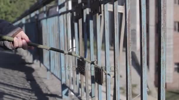 Girl walks and knocks with stick on the fence — Stock Video