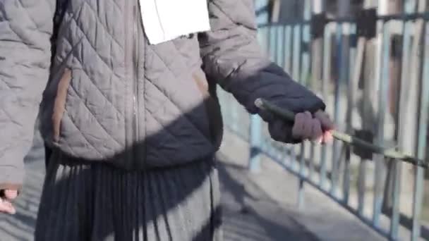 Κορίτσι βόλτες και χτυπά με το ραβδί στο φράκτη — Αρχείο Βίντεο