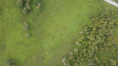 Forest Road Üstten Görünüm