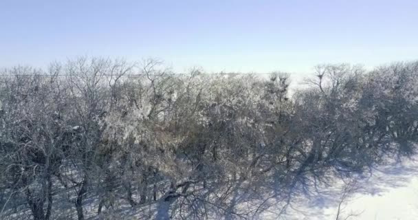 Зимовий пейзаж з видом на повітря — стокове відео