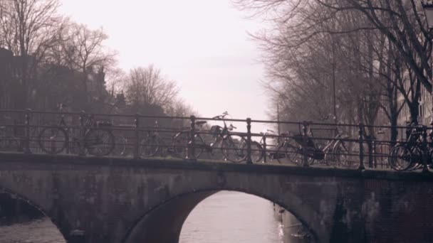 View to amsterdam bridges in jaunary — 비디오