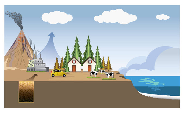 4-carbon-cycle-draw1