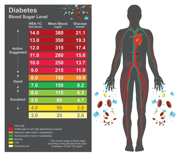 당뇨병 차트입니다. 의료 정보 그래픽입니다. 벡터 디자인. — 스톡 벡터