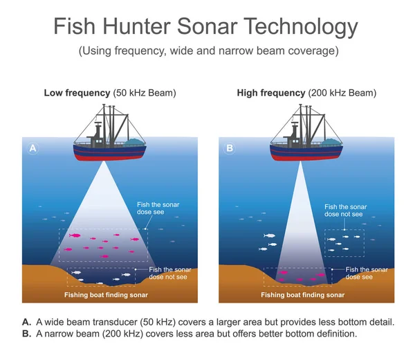 Sonar (sound navigation and ranging) — Stock Vector