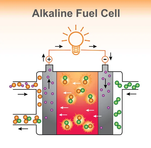 La estructura de pila de combustible alcalina. Diseño gráfico vector . — Vector de stock