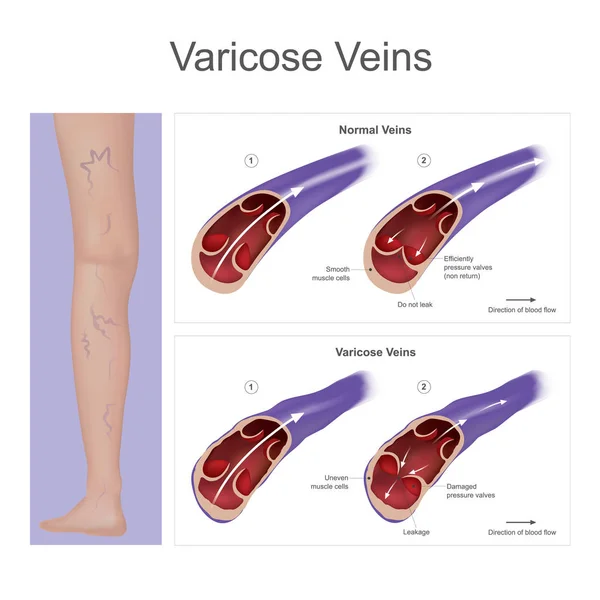 Proceso de visualización visión humana . — Vector de stock