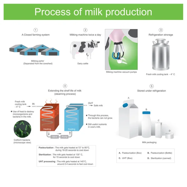 Процесс производства молока. Иллюстрация . — стоковый вектор