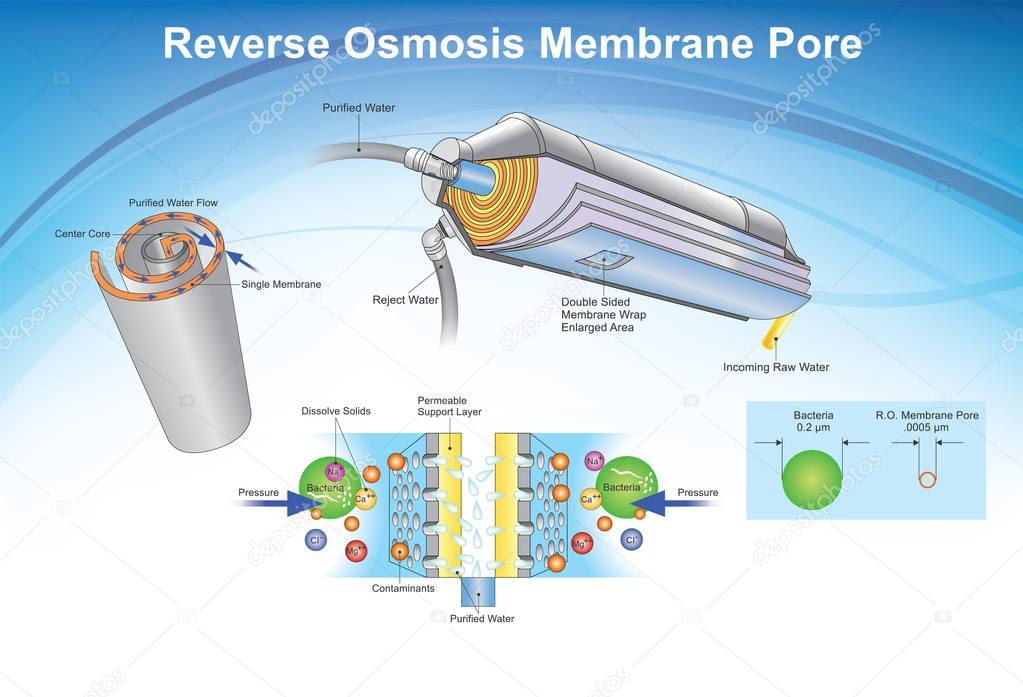 Reverse Osmosis membrane pore system. Illustration.