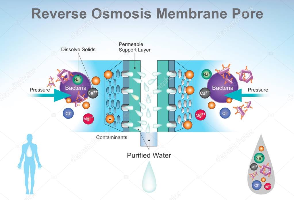 Reverse Osmosis system Diagram. Illustration.