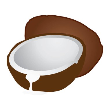 Hindistan cevizi illüstrasyon. Hindistan cevizi üretim hindistancevizi, Hindistan cevizi yağı.