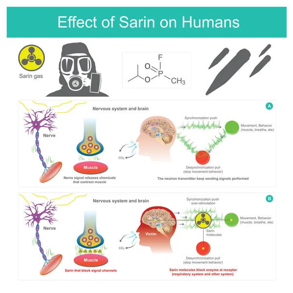 Effet du sarin sur les humains . — Image vectorielle