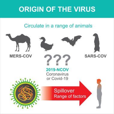 Coronavirus veya Covid-19 'un kökeni. İllüstrasyon sağlık ve sağlık hizmetleri