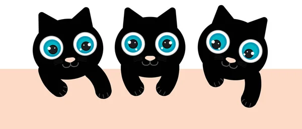 Gatitos Negros Tienen Ojos Azules Están Jugando Mirando Hacia Abajo — Archivo Imágenes Vectoriales