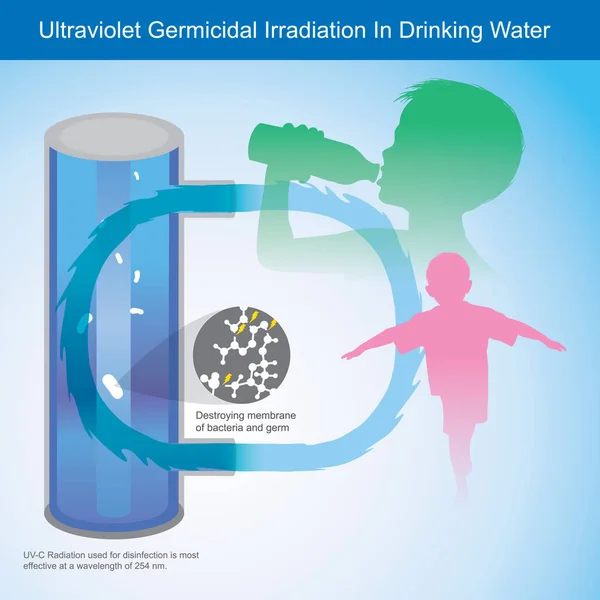 飲料水における紫外線殺菌照射 イラストで説明紫外線 光これは すべての年齢層 特にチルに適した飲料水の生産に使用されている細菌や胚の膜を殺すことができます — ストックベクタ