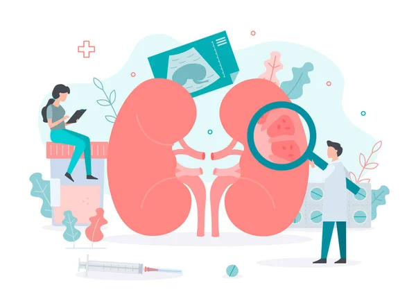 Pyelonephritis kidney treatment — Stock Illustration Pyelonephritis kidney treatment Royalty Free Stock Illustrations