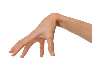 Beyaz zemin üzerinde bir pozisyonda izole boş açık kadın el