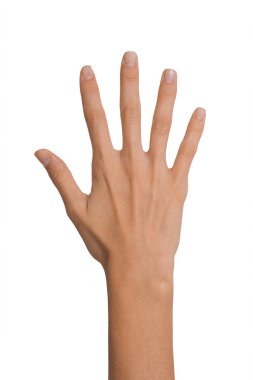 Beyaz bir arka plan üzerinde beş numaralı pozisyonda izole boş açık kadın el