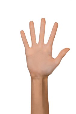 Beyaz bir arka plan üzerinde beş numaralı pozisyonda izole boş açık kadın el