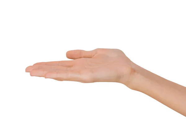 Isolierte leere offene weibliche Hand in einer Position auf weißem Hintergrund — Stockfoto