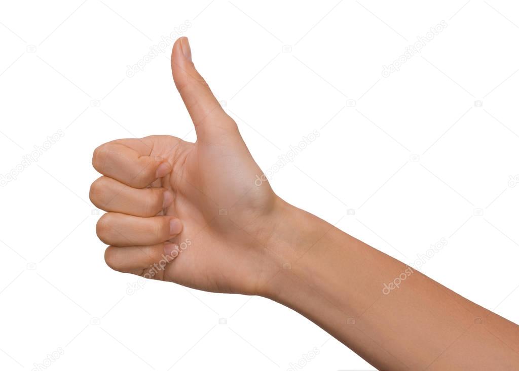 Isolated Empty open woman female hand in a Thumb Up position on a white background