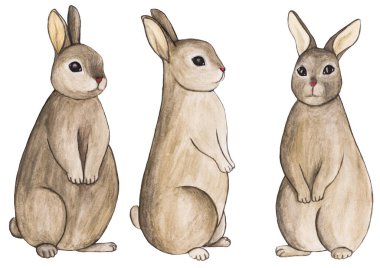 El çizimi oturan tavşanlar, üçlü set.