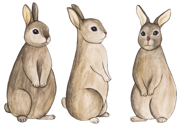 El çizimi oturan tavşanlar, üçlü set.