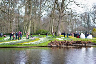 Keukenhof parkında bahar ziyaret sezonu