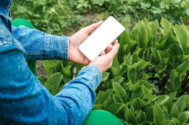  Cep telefonu elinde bir genç yenilikçi iş adamı