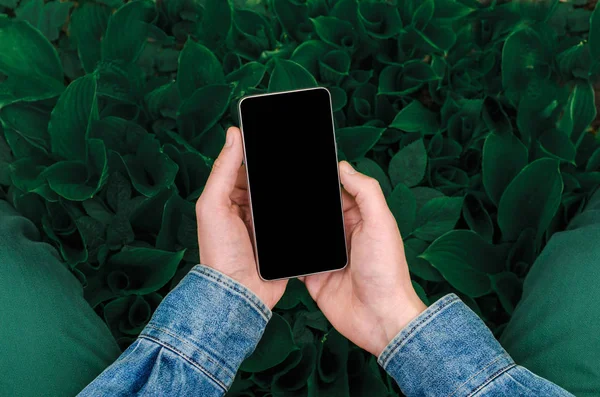  Cep telefonu elinde bir genç yenilikçi iş adamı