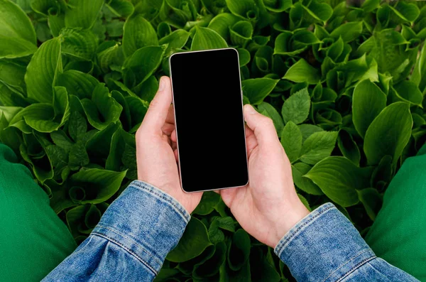  Cep telefonu elinde bir genç yenilikçi iş adamı