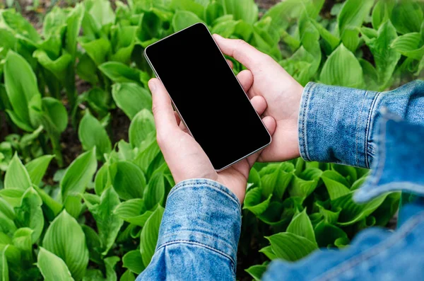  Cep telefonu elinde bir genç yenilikçi iş adamı