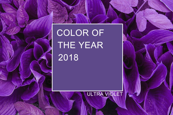 Модная цветовая концепция. Ультрафиолетовый цвет. Цвет года 2018
.