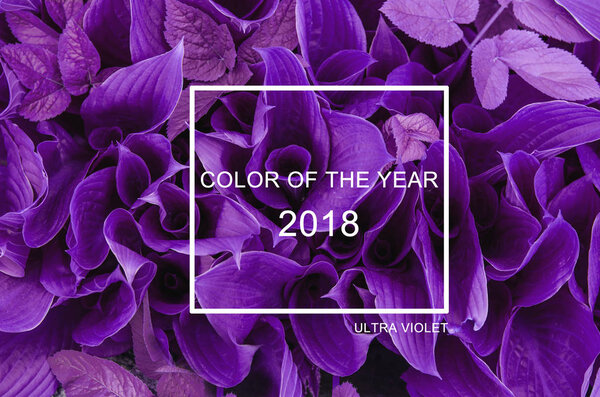 Модная цветовая концепция. Ультрафиолетовый цвет. Цвет года 2018
.