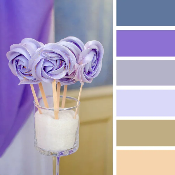 Színegyeztetés Paletta Ingyenes Színes Színminták Ultra Violet Candy Egy Bottal — Stock Fotó