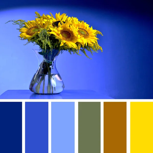 Color matching palette with complimentary colour swatches. Sunflower vase on a table on a blue background.