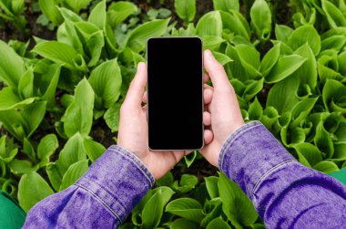Akıllı telefon mobil eller genç şık moda Hipster iş adam Denim Ultra mor renk gömlek Jeans kadar kapatın 
