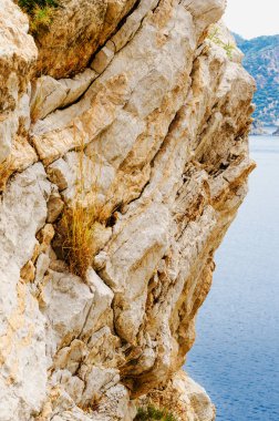 Vahşi doğanın yaz atmosfer okyanus yakın doğa, tehlike imha cliff, kayalar çığ rock deniz Panoraması kayalar