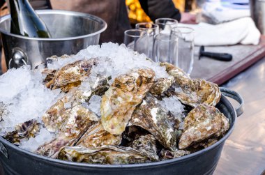 Deniz ürünleri bir kabuk buz sağlıklı deniz gıda arka plan ile lezzetli taze büyük istiridyelerde kapat 