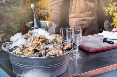 Deniz ürünleri bir kabuk buz sağlıklı deniz gıda arka plan ile lezzetli taze büyük istiridyelerde kapat 