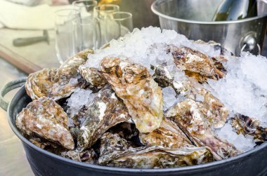 Deniz ürünleri bir kabuk buz sağlıklı deniz gıda arka plan ile lezzetli taze büyük istiridyelerde kapat 