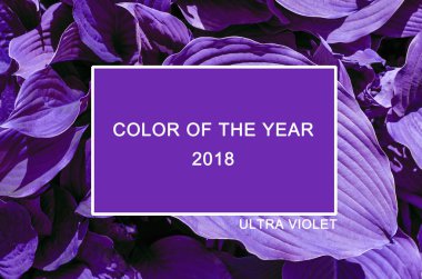 Trendy renk Cncept Set yıl 2018 yaprakları doğanın Ultra mor renk eğilim ile.