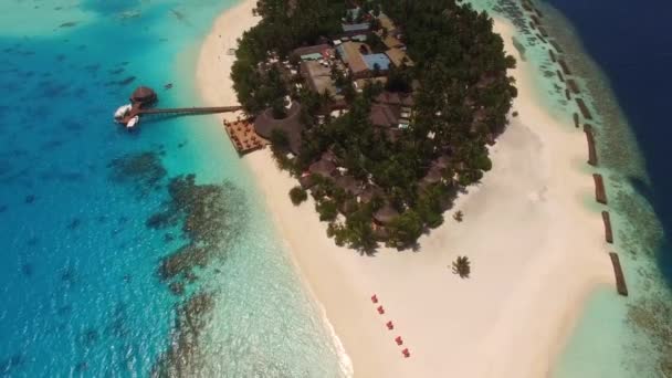 Tembakan udara dari sebuah pulau tropis kecil di pulau palem Maladewa dan dermaga — Stok Video