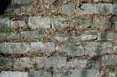 Kuru ot arka plan desen duvar duvar